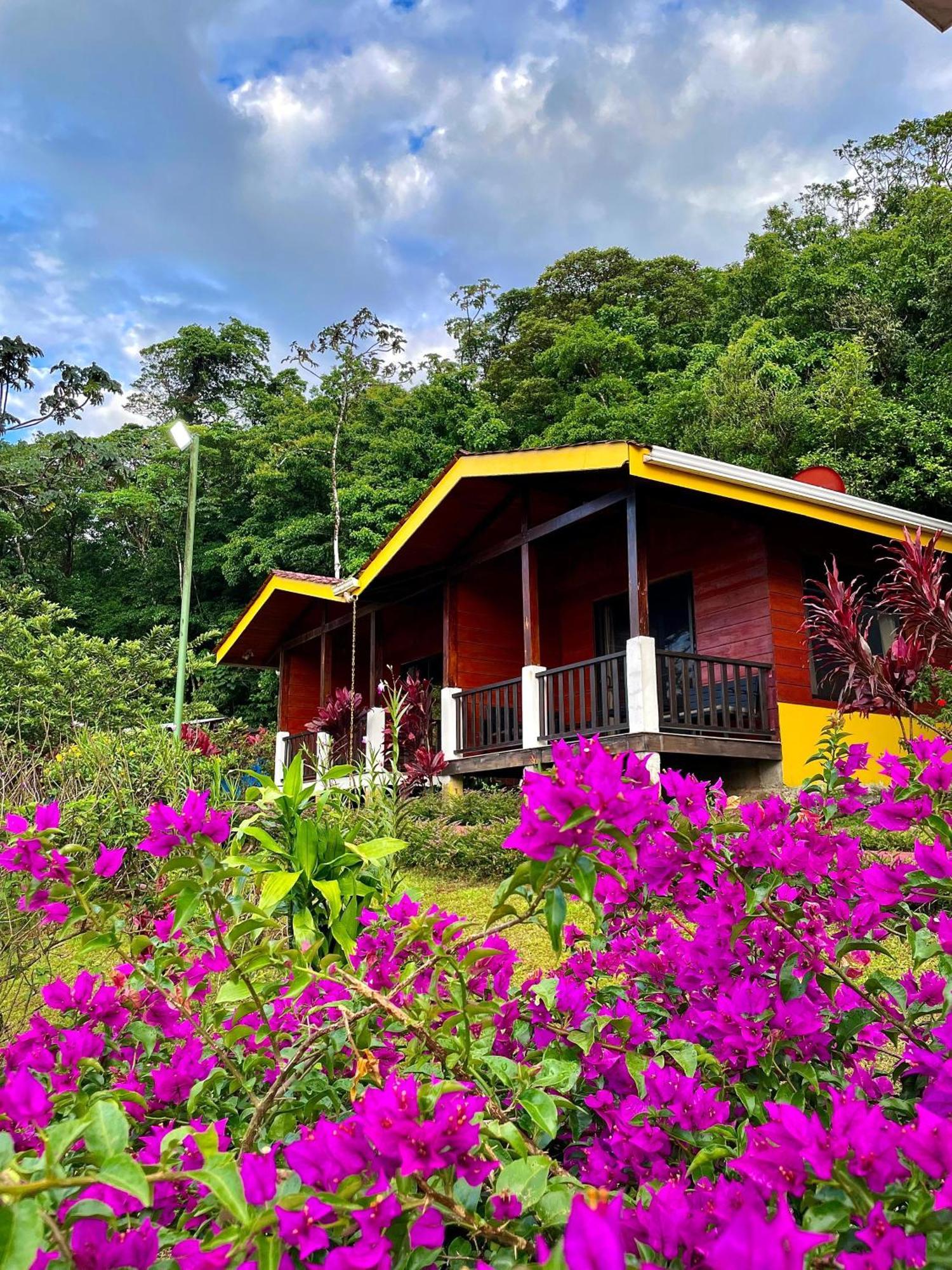 Heliconias Rainforest Lodge Bijagua Ngoại thất bức ảnh