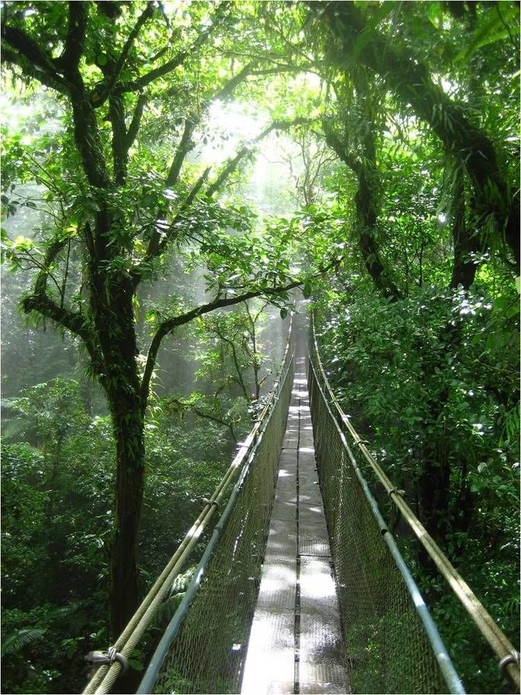 Heliconias Rainforest Lodge Bijagua Ngoại thất bức ảnh