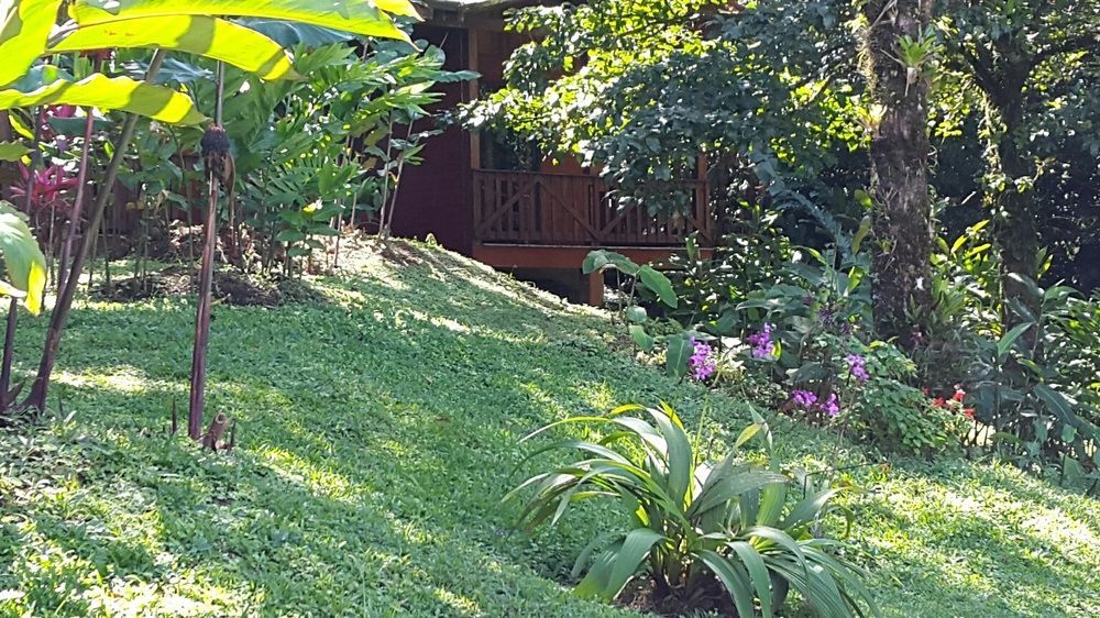 Heliconias Rainforest Lodge Bijagua Ngoại thất bức ảnh